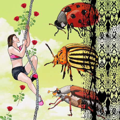 BEETLE BEHIND CURTAIN van ART-WOOL Angela Osman + Martin Brauner, Afdruk te koop op Singulart