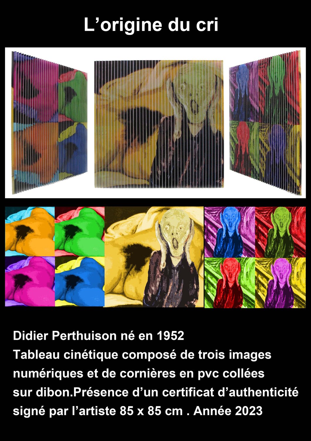 L'origine du cri Didier Perthuison Other Media for sale