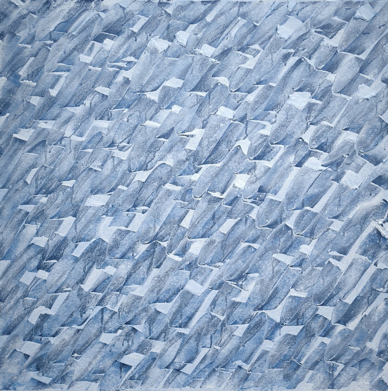FROZEN SEA Tom Nelson