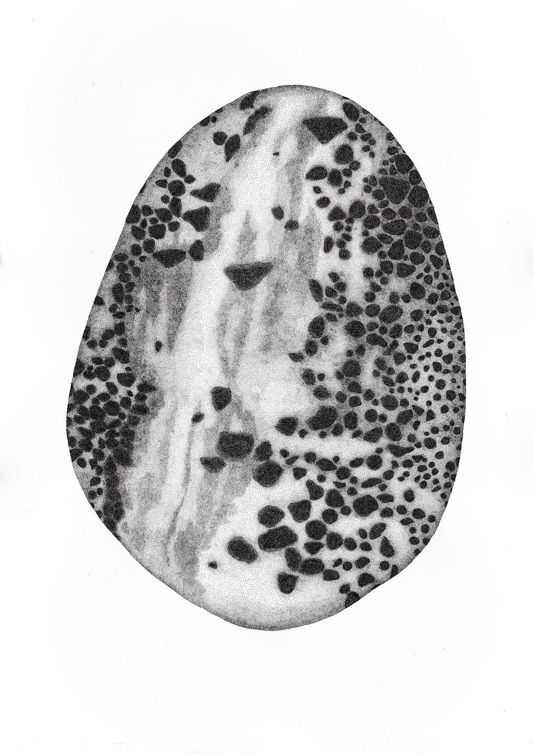Sidéralithe • Specimen III Séverine Bourgeois