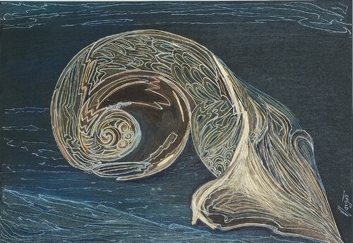 PESCE CORRENTE Current Fisch by MARGHERITA BELLIPANNI (Margot), Drawing for Sale on Singulart
