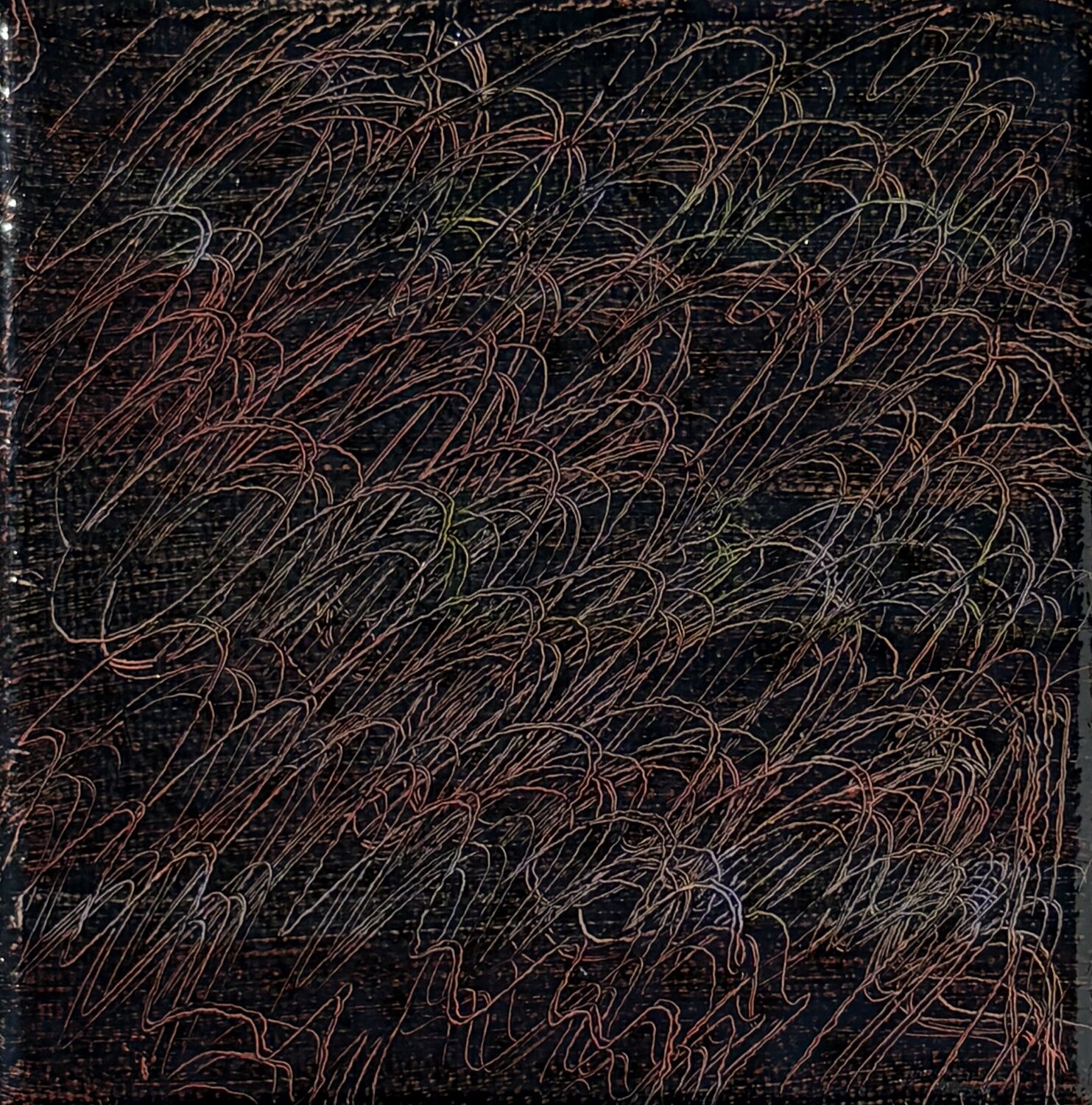 Linee di Flusso Valeria Pianese