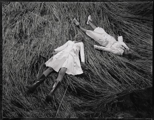 Where Deers Lay by Christopher Micaud, 사진 for Sale on Singulart