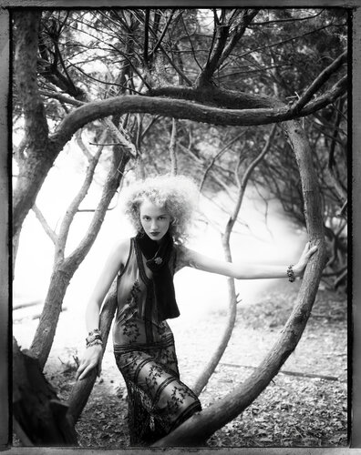 Amongst The Branches by Christopher Micaud, 사진 for Sale on Singulart