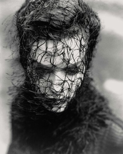 Black Widow by Christopher Micaud, 사진 for Sale on Singulart