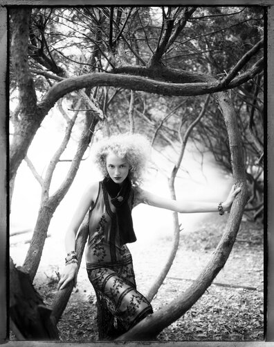 Amongst The Branches par Christopher Micaud, Photographie en vente sur Singulart