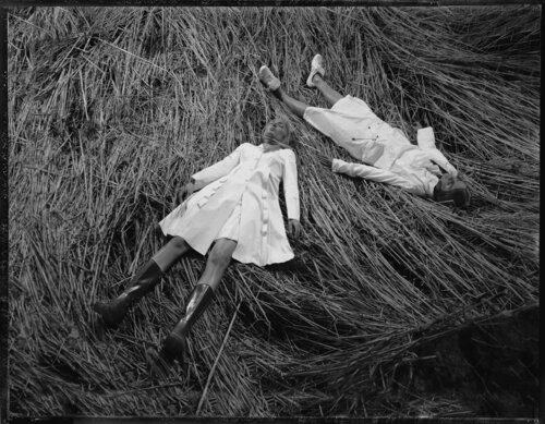 Where Deers Lay by Christopher Micaud, 攝影作品 for Sale on Singulart