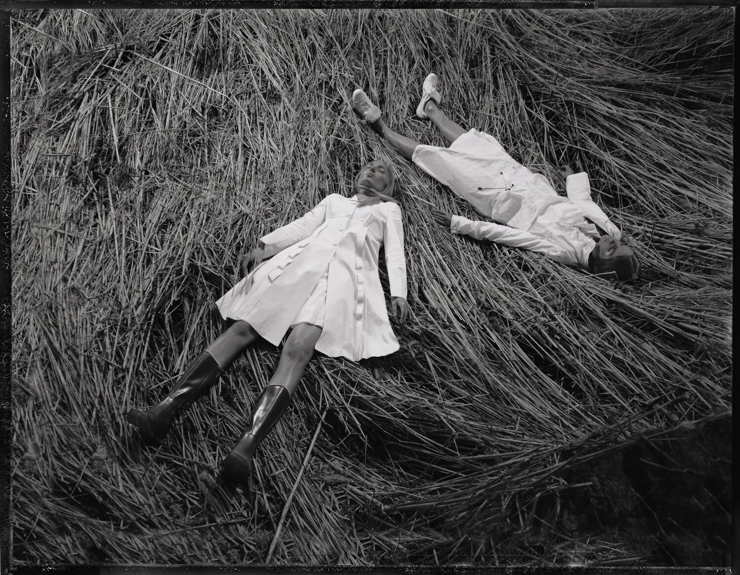 Where Deers Lay Christopher Micaud