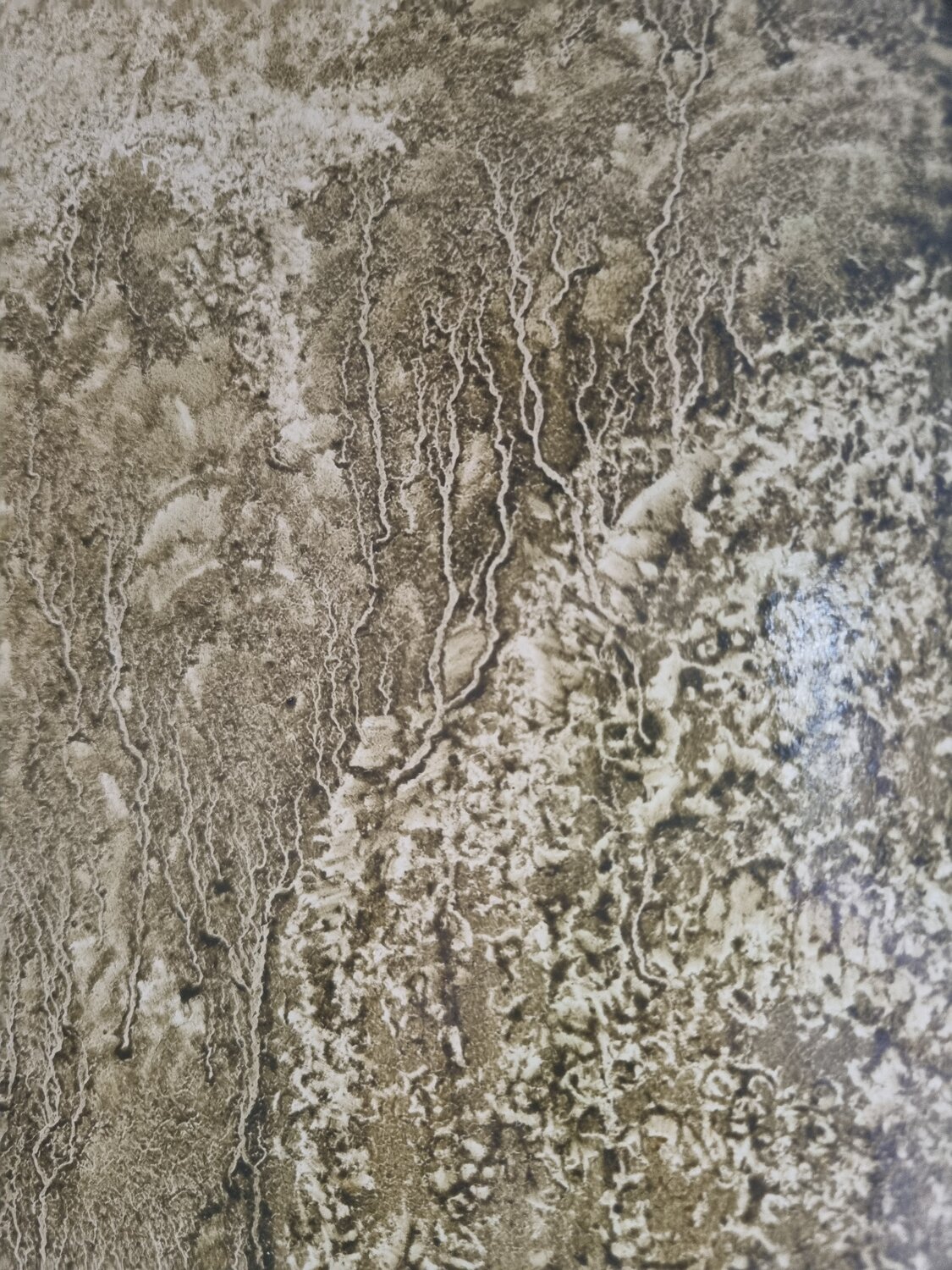 Naturaleza1 Maria Jose Roldan Hidalgo Origineel schilderij te koop