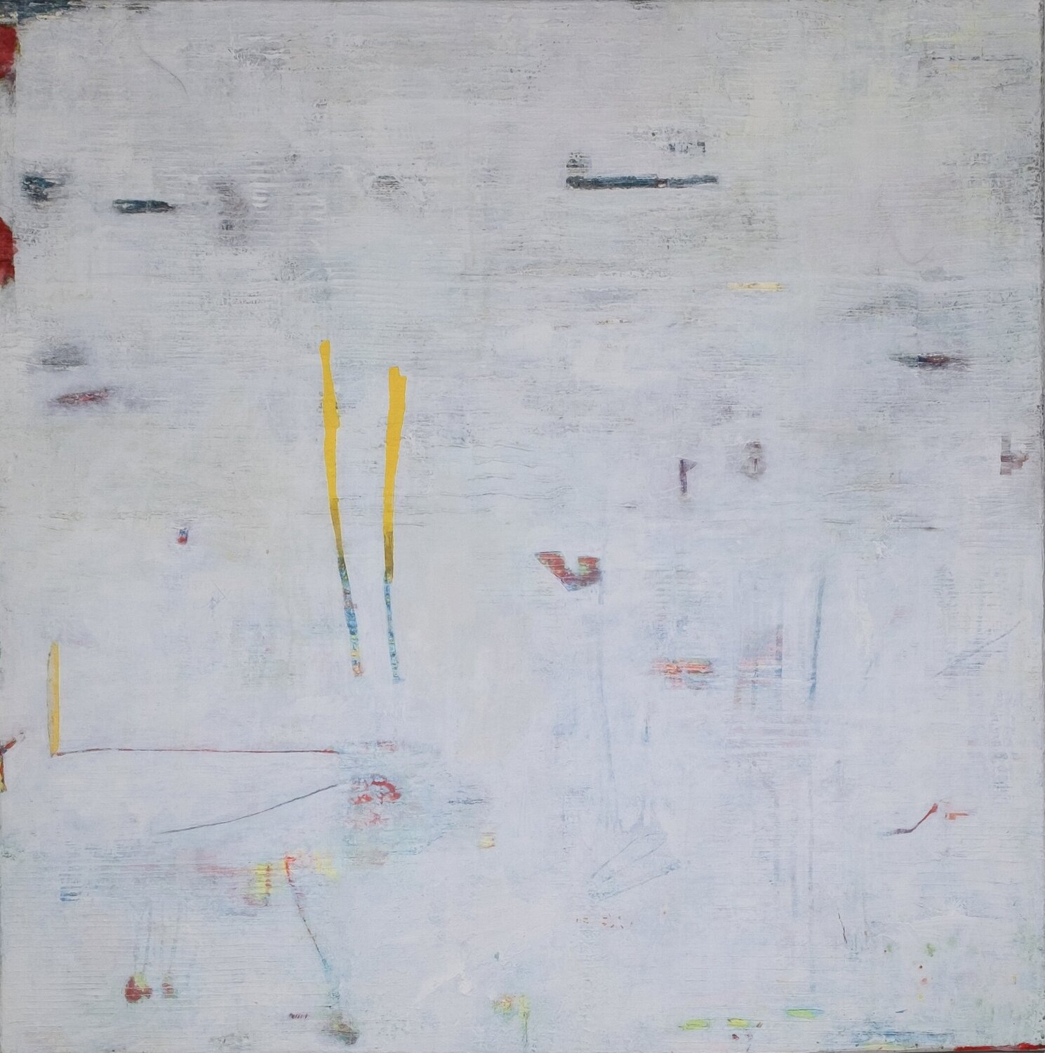 The Man-Goose Michael Ploederl