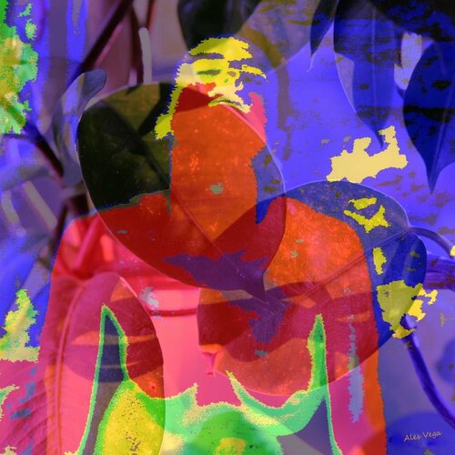 TRIBALE by ales vega, Other Media for Sale on Singulart