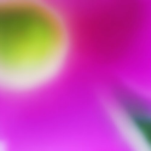 "Sognare (nel Verde) un Fiore Lilla". de Sandro Rossetti, Digital a la venta en Singulart