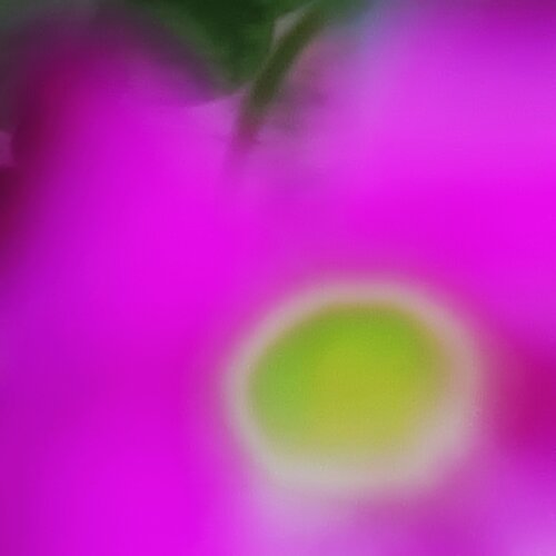 "Sognare (nel Verde) un Fiore Rosa Fucsia". de Sandro Rossetti, Digital a la venta en Singulart