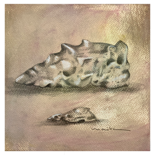 Estudio de una concha van Maite Granados Lopez, Tekening te koop op Singulart