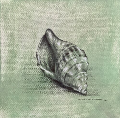 Estudio de una concha van Maite Granados Lopez, Tekening te koop op Singulart