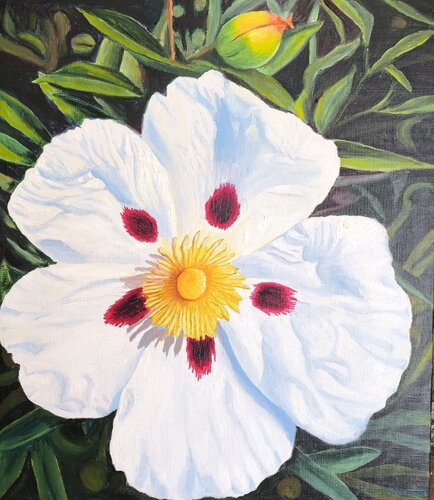 Flor de la Jara by Rosa María Fernández, 회화 for Sale on Singulart