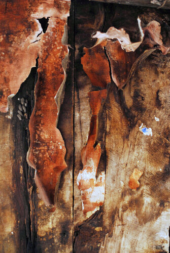 Signa Temporis - Untitled #01 von Patrizia Posillipo, Fotografie kaufen auf Singulart