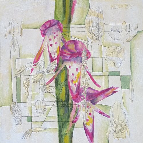 Connecting Threads #2 de CATALINA CORTES, Pintura a la venta en Singulart