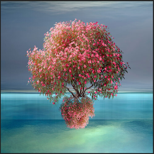 Arboles-1 di Paul Emile Rioux, Altri media in vendita su Singulart