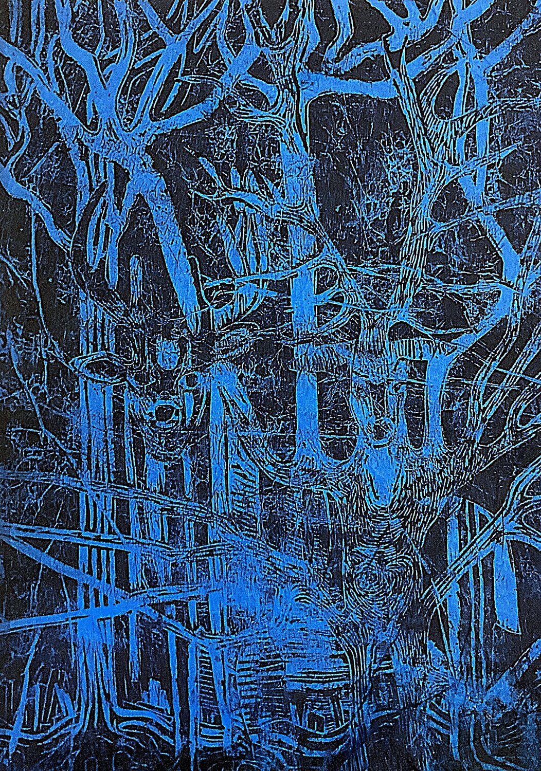 Les âmes de la forêt Sandra Bédu