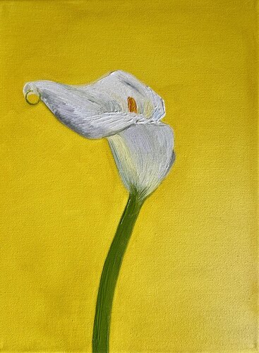 White Lilly on Yellow de Rubi Javier, Pintura a la venta en Singulart
