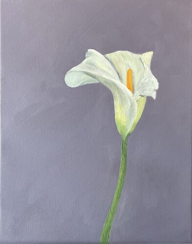 Calla Lily on Violet Grey di Rubi Javier, Pittura in vendita su Singulart