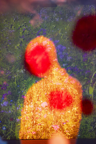 NATURE BURNS NR.1 de Ákos Burg, Fotografía a la venta en Singulart