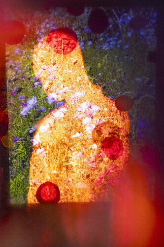 NATURE BURNS NR.´3 de Ákos Burg, Fotografía a la venta en Singulart