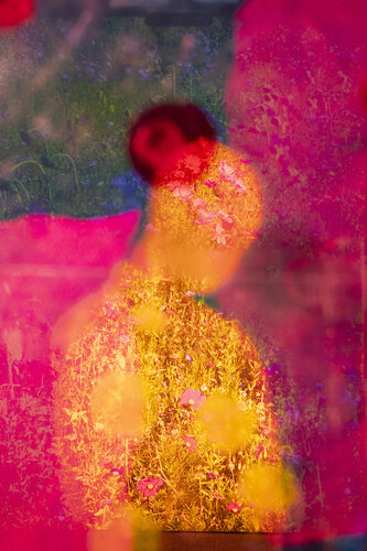 NATURE BURNS NR.2 by Ákos Burg, Photography for Sale on Singulart