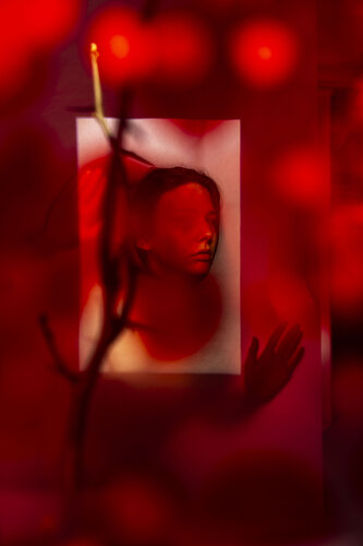 CURIOUS DANGER van Ákos Burg, Fotografie te koop op Singulart