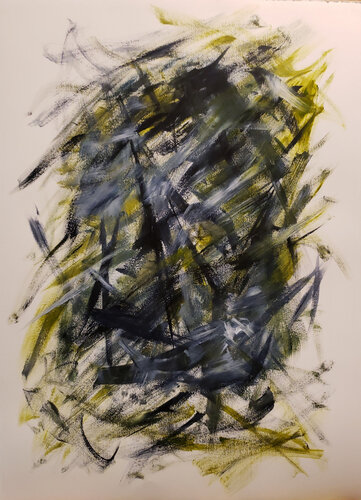 Susan M. Gibbons