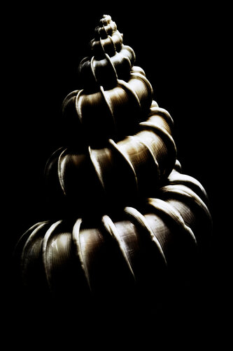 L'Exosquelette de l'Abysse by antoine marelle, 사진 for Sale on Singulart