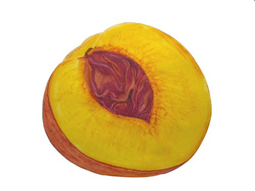 Peach de Christina Schweers, Dibujo a la venta en Singulart