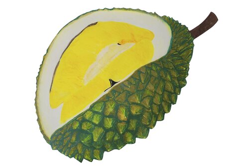 Jackfruit by Christina Schweers, Drawing for Sale on Singulart