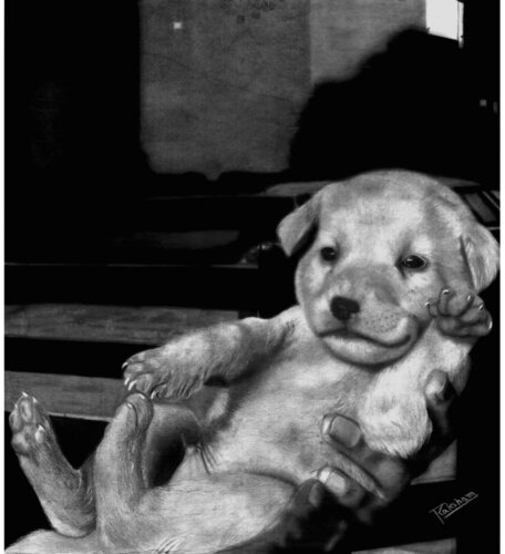 Innocence von Raksham Tamrakar, Zeichnungen kaufen auf Singulart