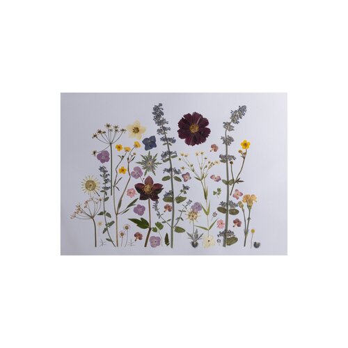 A Garden Hymn by janet Nuttall, Other Media for Sale on Singulart