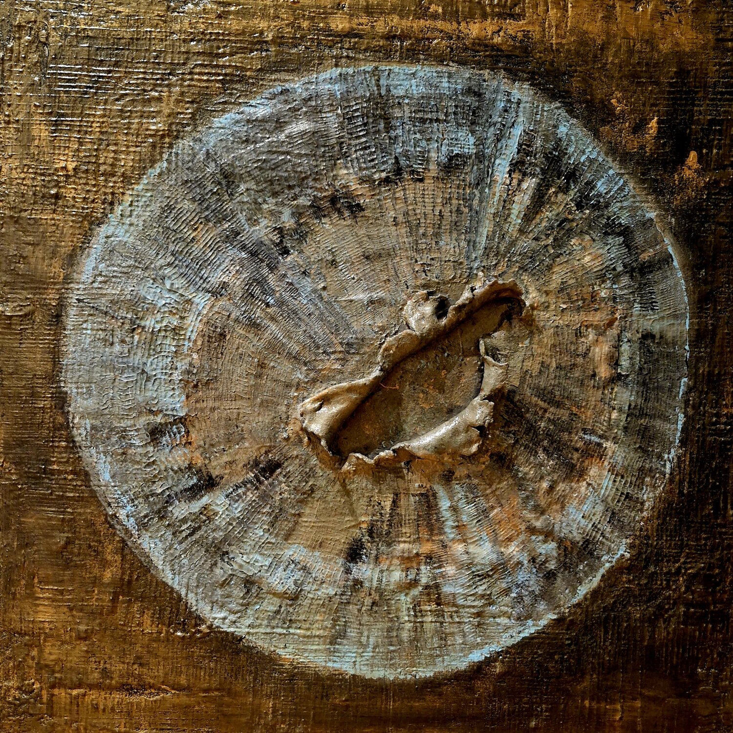 the dialogue between heaven and earth Elisabeth Verwaest