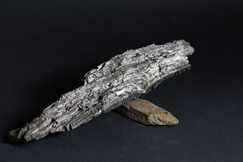 Lo que queda / What Remains par Jaquelina Rios, Photographie en vente sur Singulart