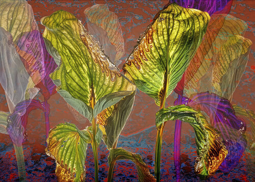 Chromatisches Erwachen by Joachim Mantel, 사진 for Sale on Singulart