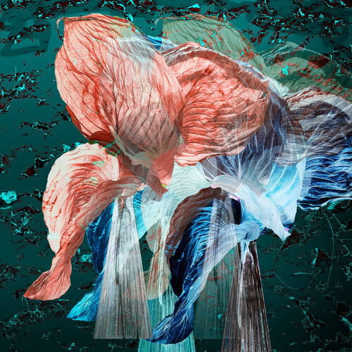 "Frostgewebe" de Joachim Mantel, Fotografía a la venta en Singulart