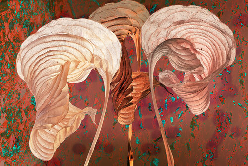 Terra Sculptura de Joachim Mantel, Fotografía a la venta en Singulart