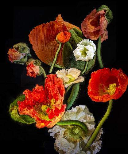 Das Flüstern der Zeit im Blütenkelch par Joachim Mantel, Photographie en vente sur Singulart