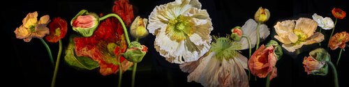 Ein horizontales Lied vom Werden und Vergehen par Joachim Mantel, Photographie en vente sur Singulart