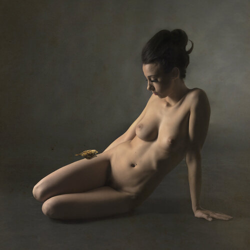 Sparrow, delight of my girl von FABRIZIO INTONTI, Fotografie kaufen auf Singulart