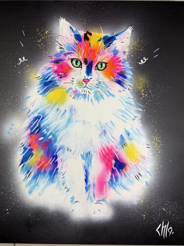 Chat by CHLO COLOR ART, 회화 for Sale on Singulart