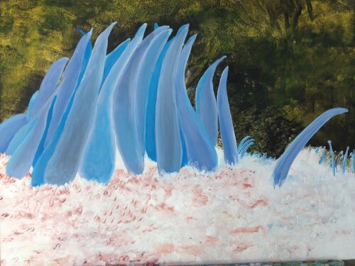 Unterwasserpolypen von Hawaii di Susanne Fritsch, Pittura in vendita su Singulart