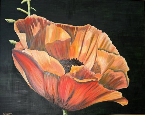 POPPY di Neal Benham, Pittura in vendita su Singulart