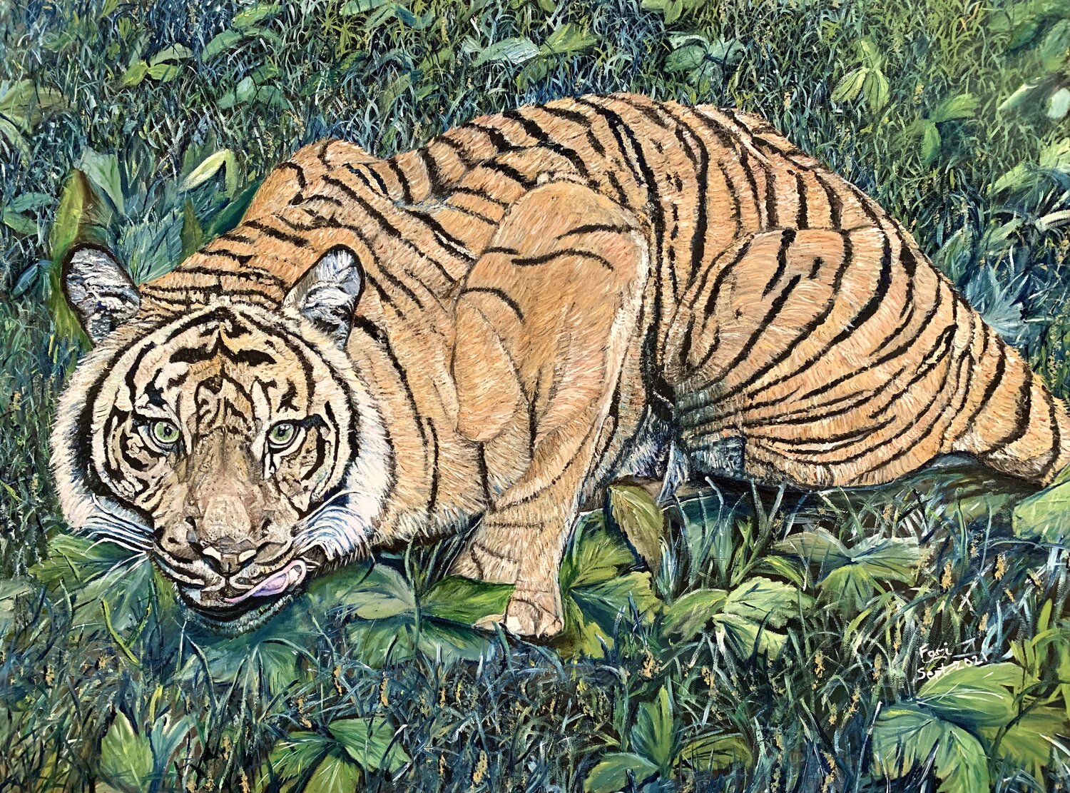 Magnificent Tiger Fari Ali