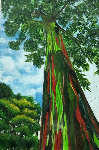 Rainbow Tree di Zoobia Arif, Pittura in vendita su Singulart
