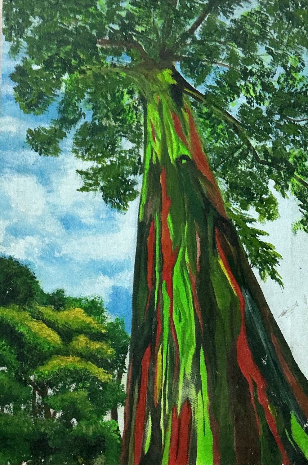 Rainbow Tree Zoobia Arif